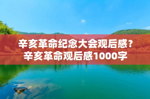 辛亥革命纪念大会观后感？辛亥革命观后感1000字
