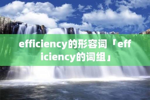 efficiency的形容词「efficiency的词组」