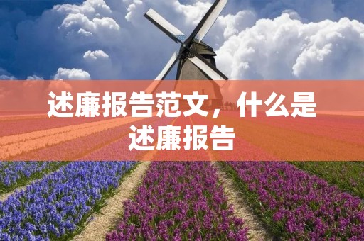 述廉报告范文,什么是述廉报告 述廉报告范文,什么是述廉报告