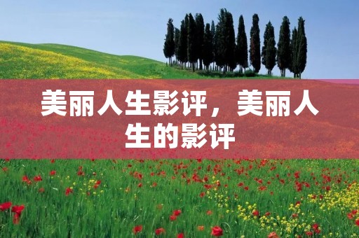 美丽人生影评，美丽人生的影评