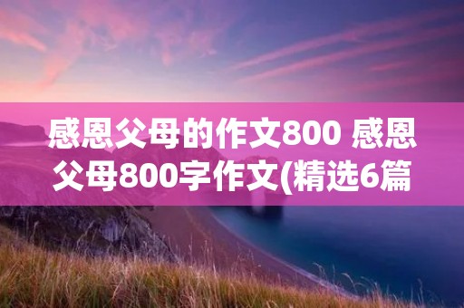 感恩父母的作文800 感恩父母800字作文(精选6篇)