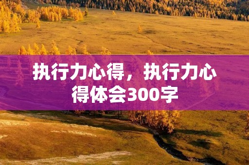 执行力心得,执行力心得体会300字 执行力心得,执行力心得体会300字