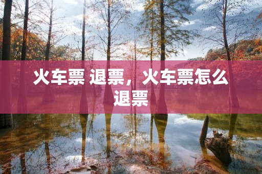 火车票 退票,火车票怎么退票