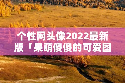 个性网头像2022最新版「呆萌傻傻的可爱图片」