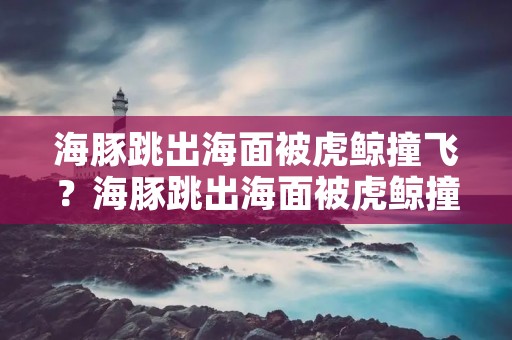 海豚跳出海面被虎鲸撞飞?海豚跳出海面被虎鲸撞飞,你知道虎鲸在海洋中的地位吗