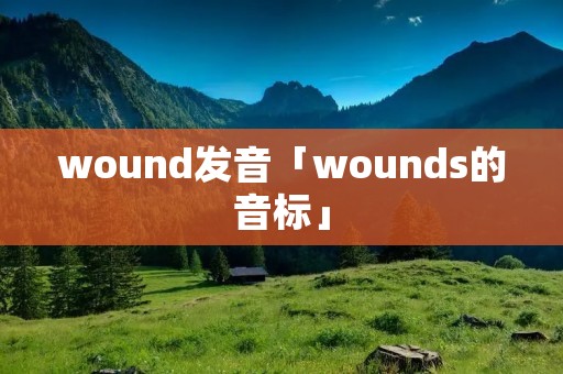 wound发音「wounds的音标」