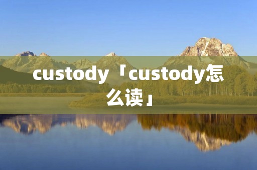 custody「custody怎么读」