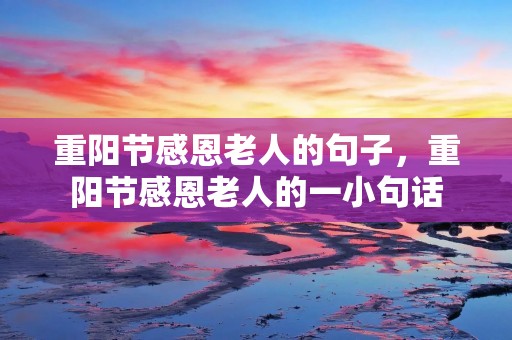 重阳节感恩老人的句子,重阳节感恩老人的一小句话
