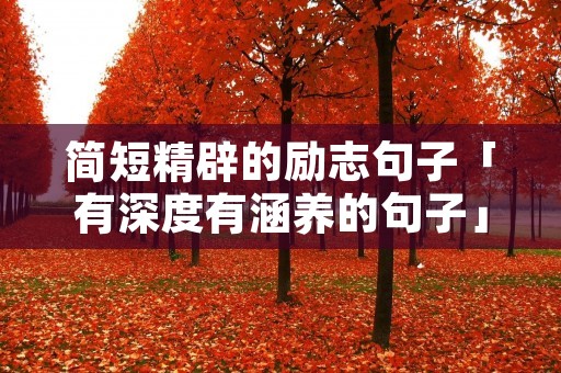 简短精辟的励志句子「有深度有涵养的句子」