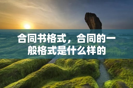 合同书格式,合同的一般格式是什么样的