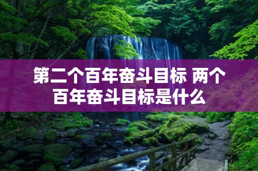 第二个百年奋斗目标 两个百年奋斗目标是什么 第二个百年奋斗目标 两个百年奋斗目标是什么