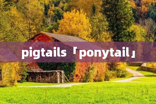 pigtails「ponytail」 pigtails「ponytail」