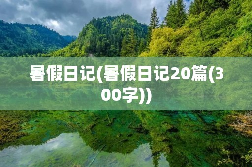 暑假日记(暑假日记20篇(300字))