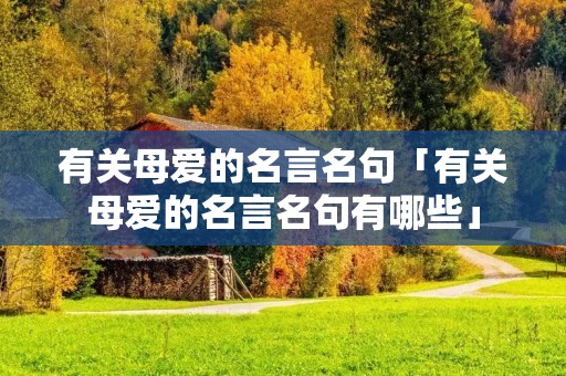 有关母爱的名言名句「有关母爱的名言名句有哪些」