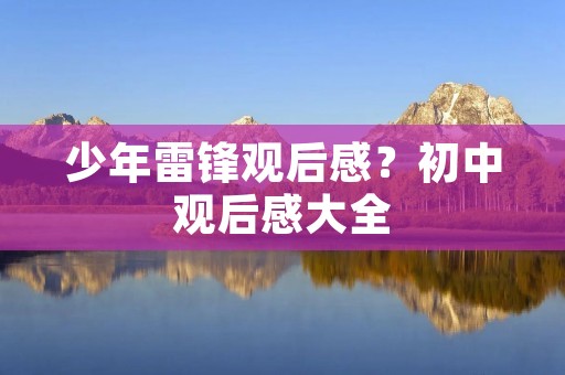 少年雷锋观后感?初中观后感大全:少年雷锋观后感 少年雷锋观后感?初中观后感大全:少年雷锋观后感