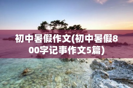 初中暑假作文(初中暑假800字记事作文5篇)