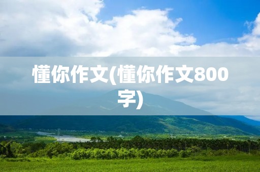懂你作文(懂你作文800字)