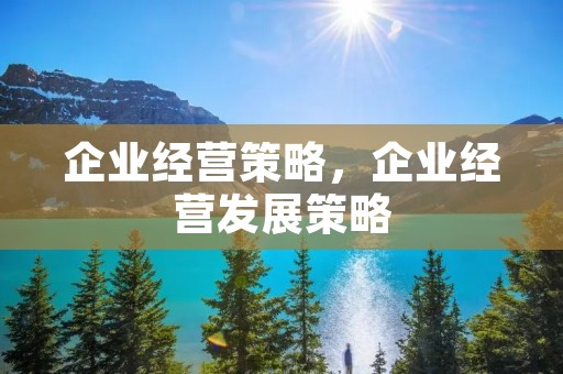 企业经营策略,企业经营发展策略