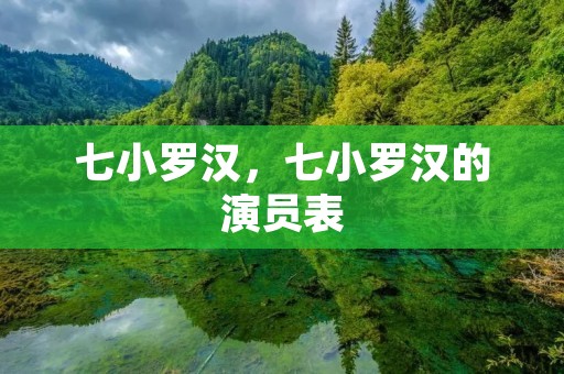 七小罗汉,七小罗汉的演员表