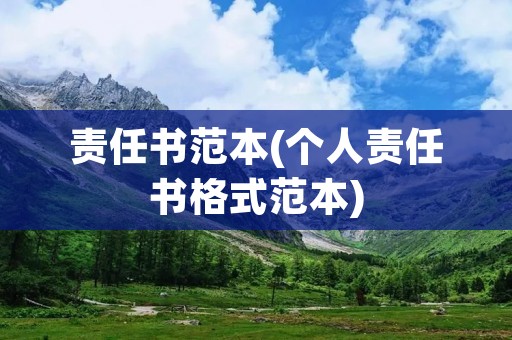 责任书范本(个人责任书格式范本)
