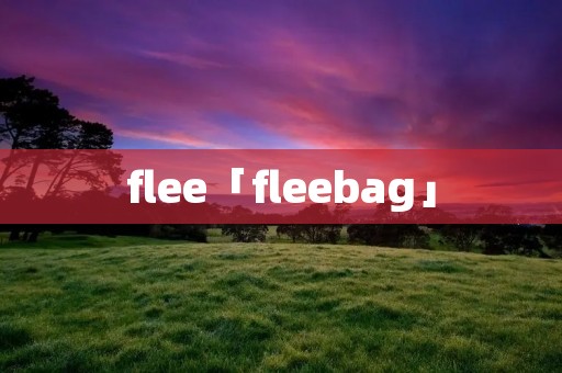 flee「fleebag」