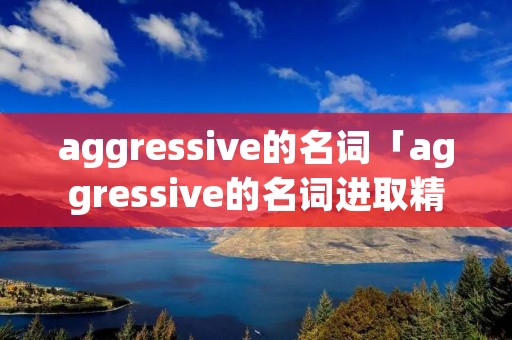 aggressive的名词「aggressive的名词进取精神」