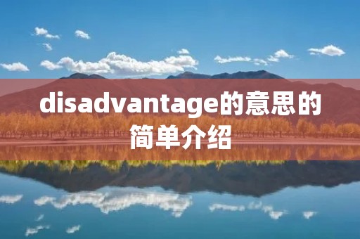 disadvantage的意思的简单介绍