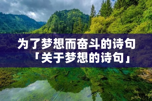 为了梦想而奋斗的诗句「关于梦想的诗句」