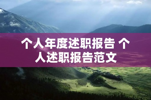 个人年度述职报告 个人述职报告范文