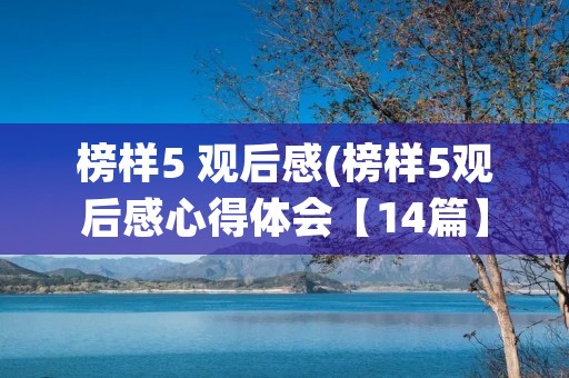 榜样5 观后感(榜样5观后感心得体会【14篇】)