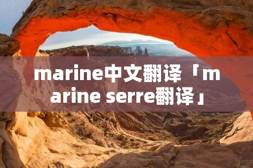 marine中文翻译「marine serre翻译」
