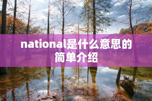 national是什么意思的简单介绍