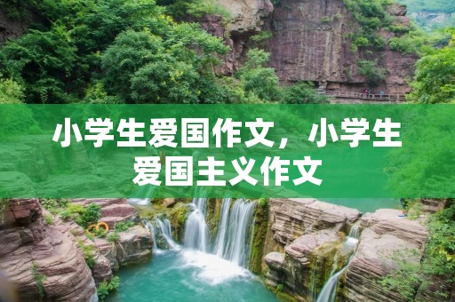 小学生爱国作文，小学生爱国主义作文