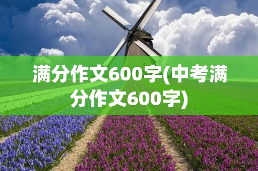 满分作文600字(中考满分作文600字) 满分作文600字(中考满分作文600字)