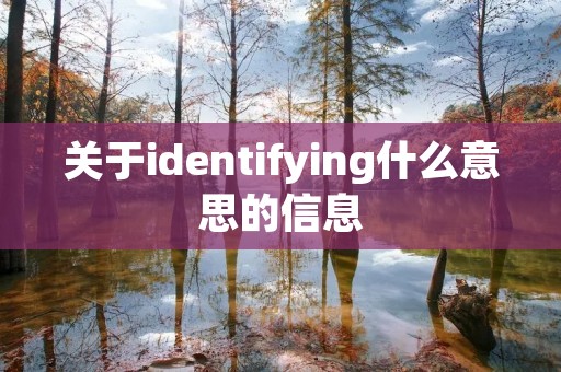关于identifying什么意思的信息