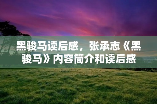 黑骏马读后感,张承志《黑骏马》内容简介和读后感 黑骏马读后感,张承志《黑骏马》内容简介和读后感