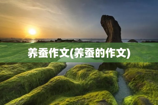 养蚕作文(养蚕的作文)