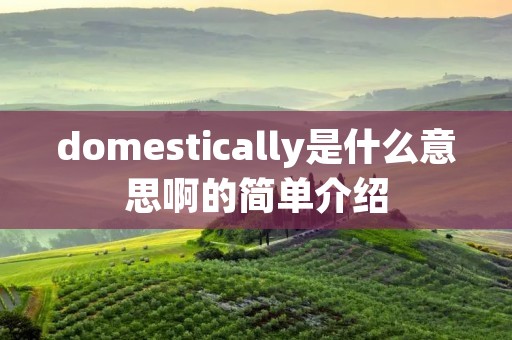domestically是什么意思啊的简单介绍 domestically是什么意思啊的简单介绍