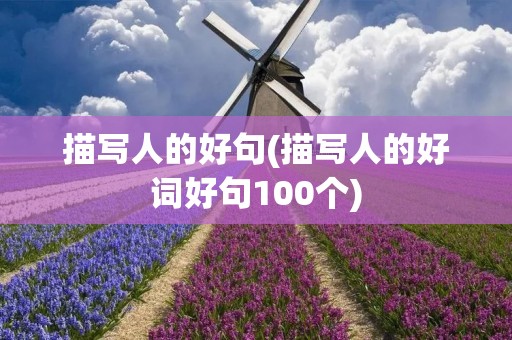 描写人的好句(描写人的好词好句100个)