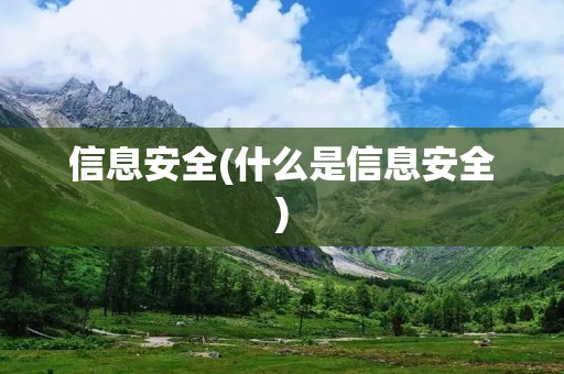 信息安全(什么是信息安全) 信息安全(什么是信息安全)