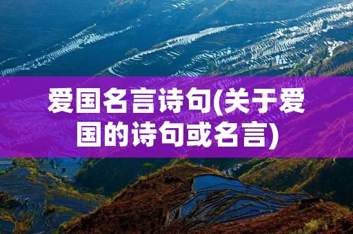 爱国名言诗句(关于爱国的诗句或名言) 爱国名言诗句(关于爱国的诗句或名言)