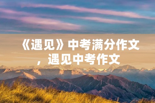 《遇见》中考满分作文，遇见中考作文