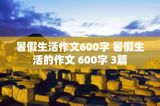 暑假生活作文600字 暑假生活的作文 600字 3篇