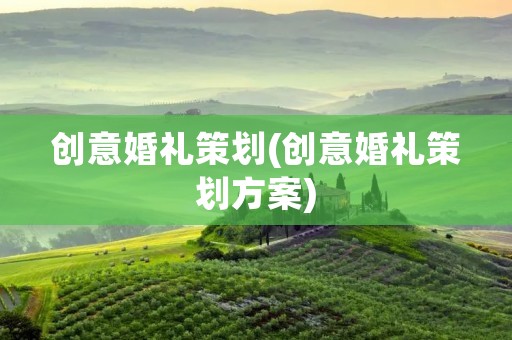 创意婚礼策划(创意婚礼策划方案)