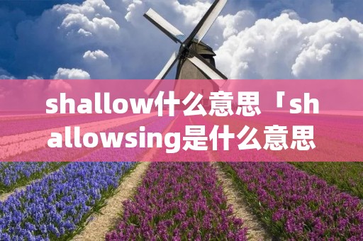 shallow什么意思「shallowsing是什么意思」