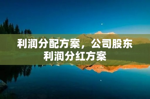 利润分配方案,公司股东利润分红方案
