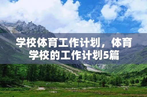 学校体育工作计划，体育学校的工作计划5篇