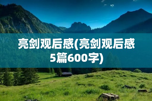 亮剑观后感(亮剑观后感5篇600字)