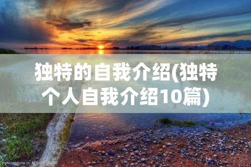 独特的自我介绍(独特个人自我介绍10篇)