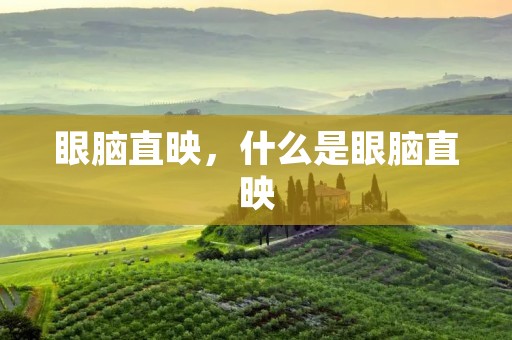 眼脑直映,什么是眼脑直映 眼脑直映,什么是眼脑直映